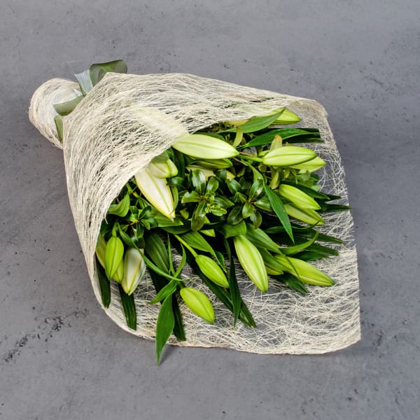 6  Stems