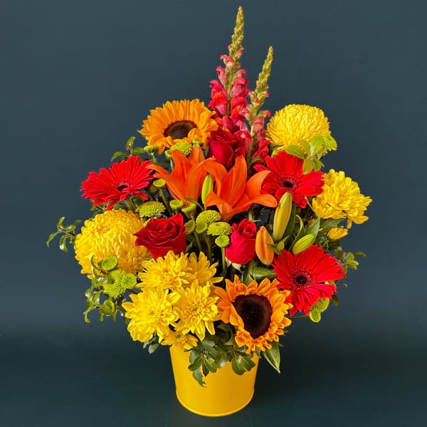 Bright - Superb Size