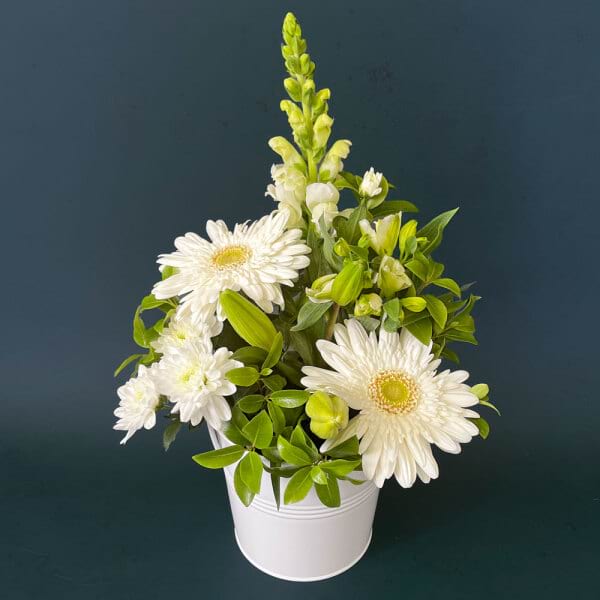 White - Basic Size (Flowers In Bud)