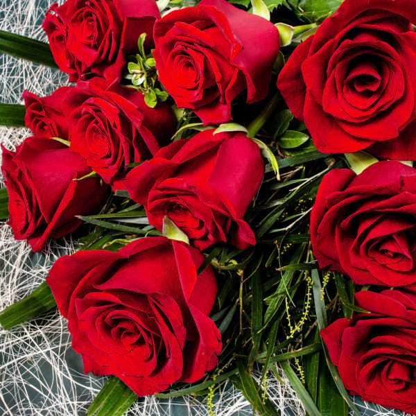 Premium Colombian Red Roses