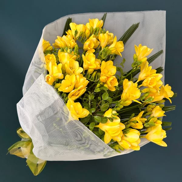 Yellow Freesia Bouquet 20 Stems