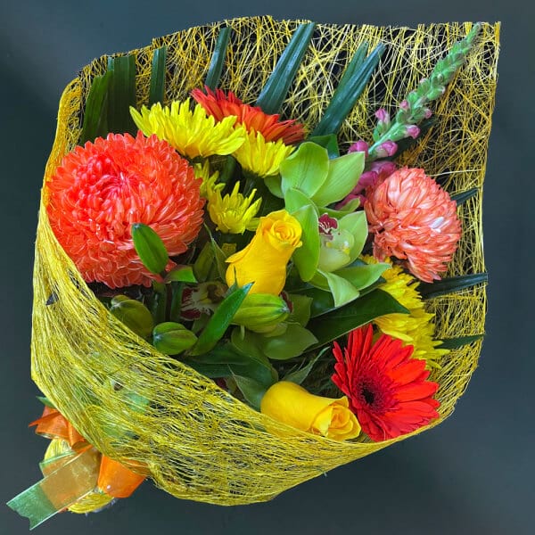 Premium Size - yellow/orange