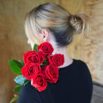 6 Long-Stemmed Red Roses