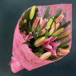 6 Stems