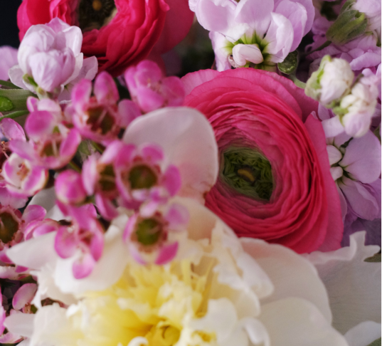About Our Auckland Florist