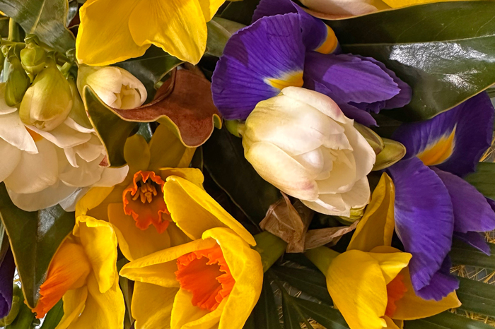 Sending Flowers in Auckland Today? Discover What’s in Season 🌸