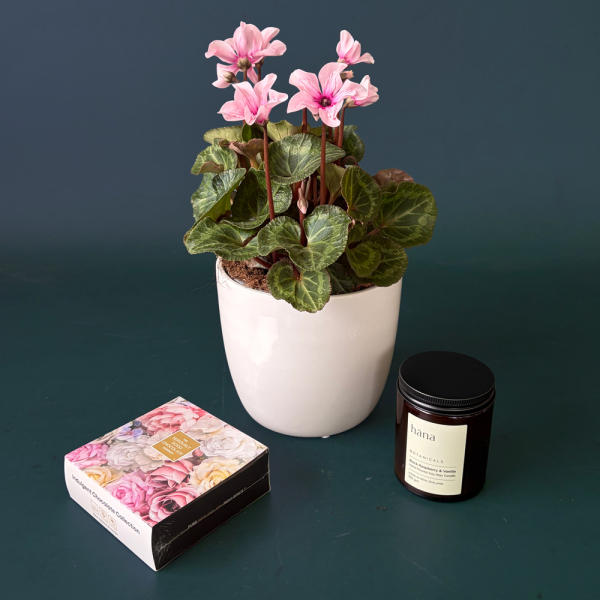 Botanical Calm